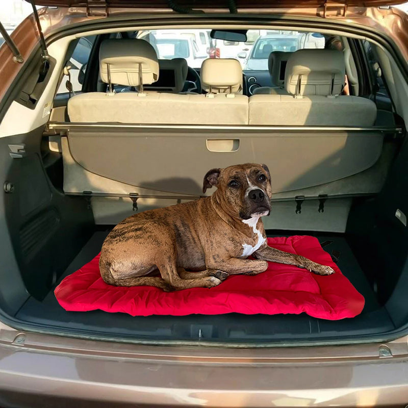 Cama para Cachorro portátil