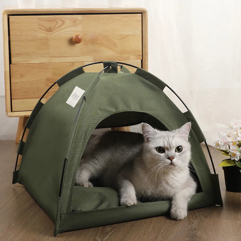 Barraca de  Acampamento para Gato