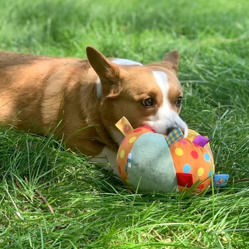 Brinquedo interativo para cachorro com bola bordada e estridente