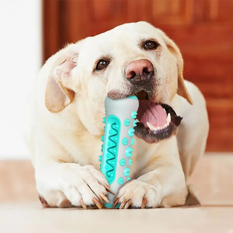 Mordedor Canino Removedor de Tártaro