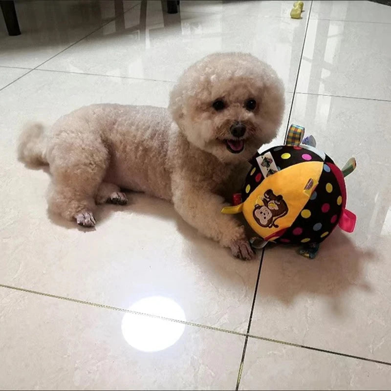 Brinquedo interativo para cachorro com bola bordada e estridente