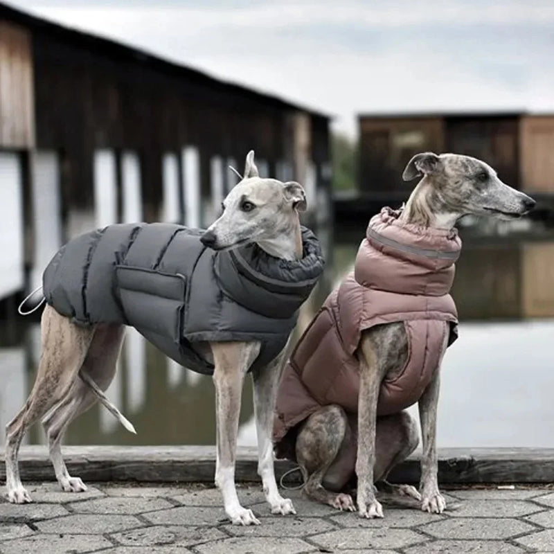 Casaco Quente Impermeável para Whippets