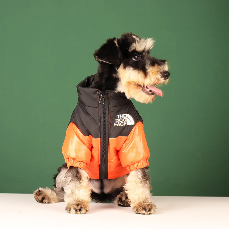 Roupa de frio para Cachorros-The Dog Face