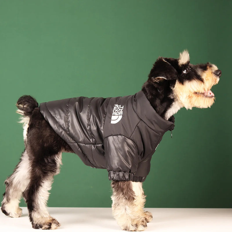 Roupa de frio para Cachorros-The Dog Face