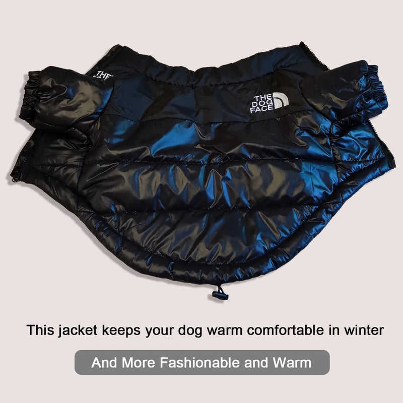 Roupa de frio para Cachorros-The Dog Face